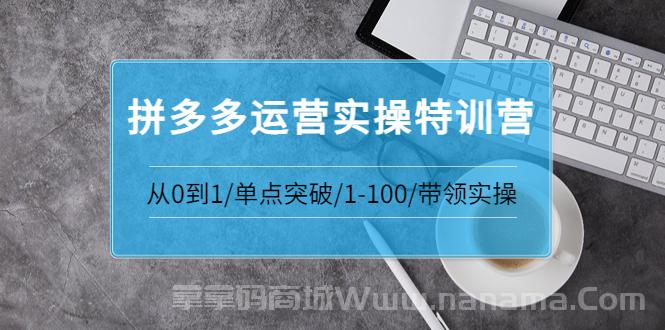 拼多多运营实操特训营：从0到1/单点突破/1-100/带领实操 价值2980元