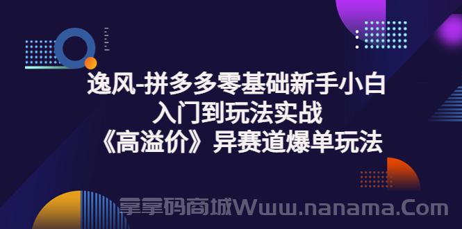 拼多多零基础新手小白入门到玩法实战《高溢价》异赛道爆单玩法实操课