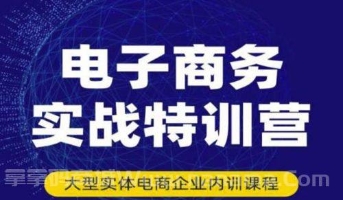 电子商务实战特训营，全方位带你入门电商，308种方式玩转电商