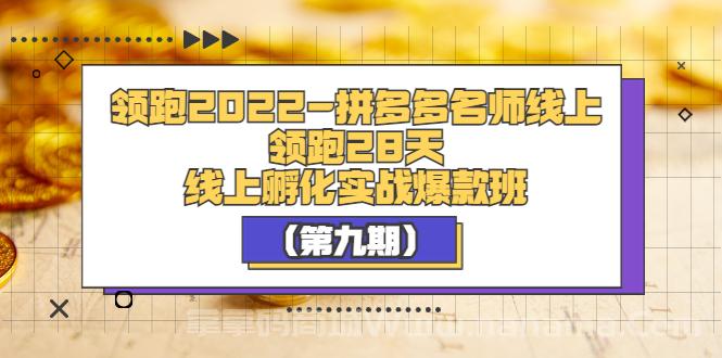 领跑2022-拼多多名师线上领跑28天，线上孵化实战爆款班（第九期）
