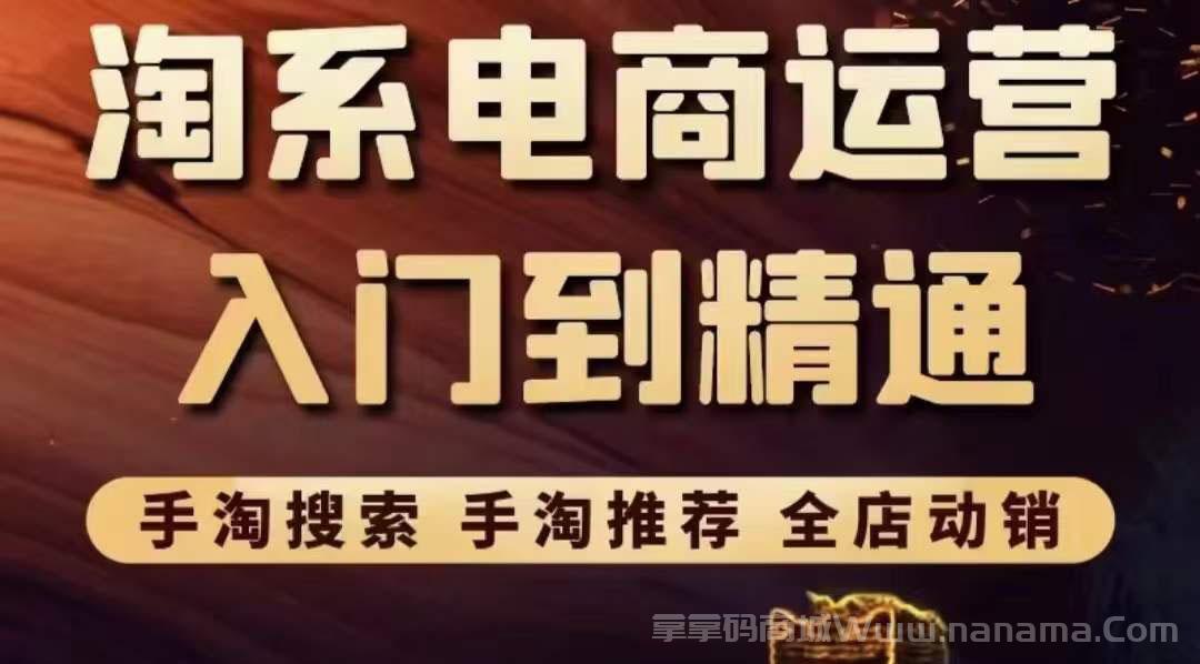 淘系电商入门到精通 手淘搜索，手淘推荐，全店动销 （价值1099元）