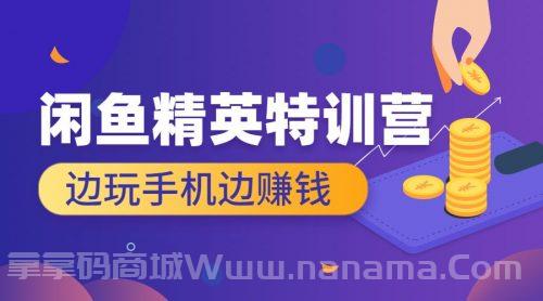 闲鱼精英特训营进阶班 边玩手机边赚钱