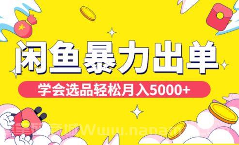 闲鱼细分领域暴力出单玩法，学会选品轻松月入5000+