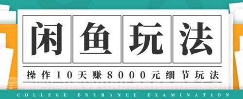 闲鱼项目玩法实战班第12期，操作10天左右利润有8000元细节