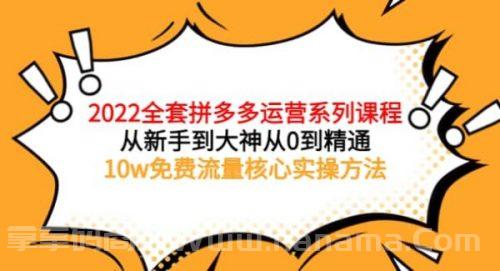 2022全套拼多多运营课程，从新手到大神从0到精通，10w免费流量核心实操方法