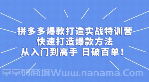 拼多多从入门到高手，爆款实战训练营日破百单