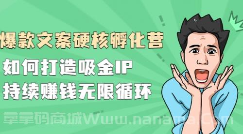 爆款文案硬核孵化营，如何打造吸金IP，持续赚钱无限循环