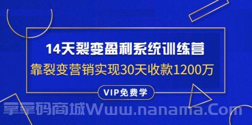 14天裂变盈利系统训练营：靠裂变营销实现30天收款1200万