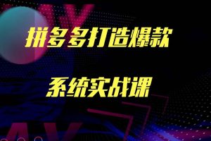 牛气学堂拼多多打造爆款系统实战课，老陶带你轻松打造爆款