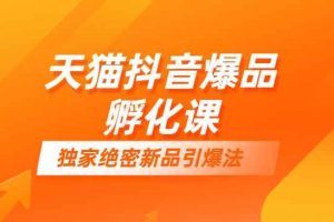 天猫抖音爆品孵化课