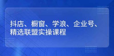 抖店、橱窗、学浪、企业号、精选联盟实操课程
